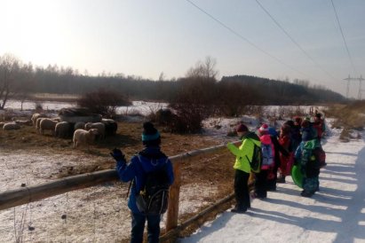 Ovečky narozdíl od koní obleček nepotřebují. Dostaly huňatý zimní kožíšek.